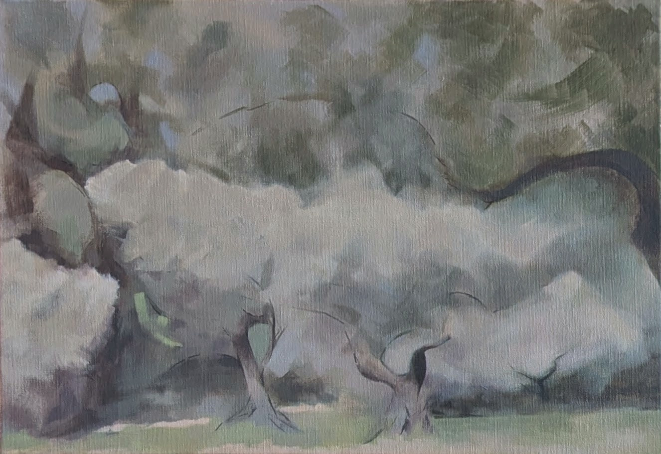 Remembrance of Olive Trees &mdash; Jasmin Harell